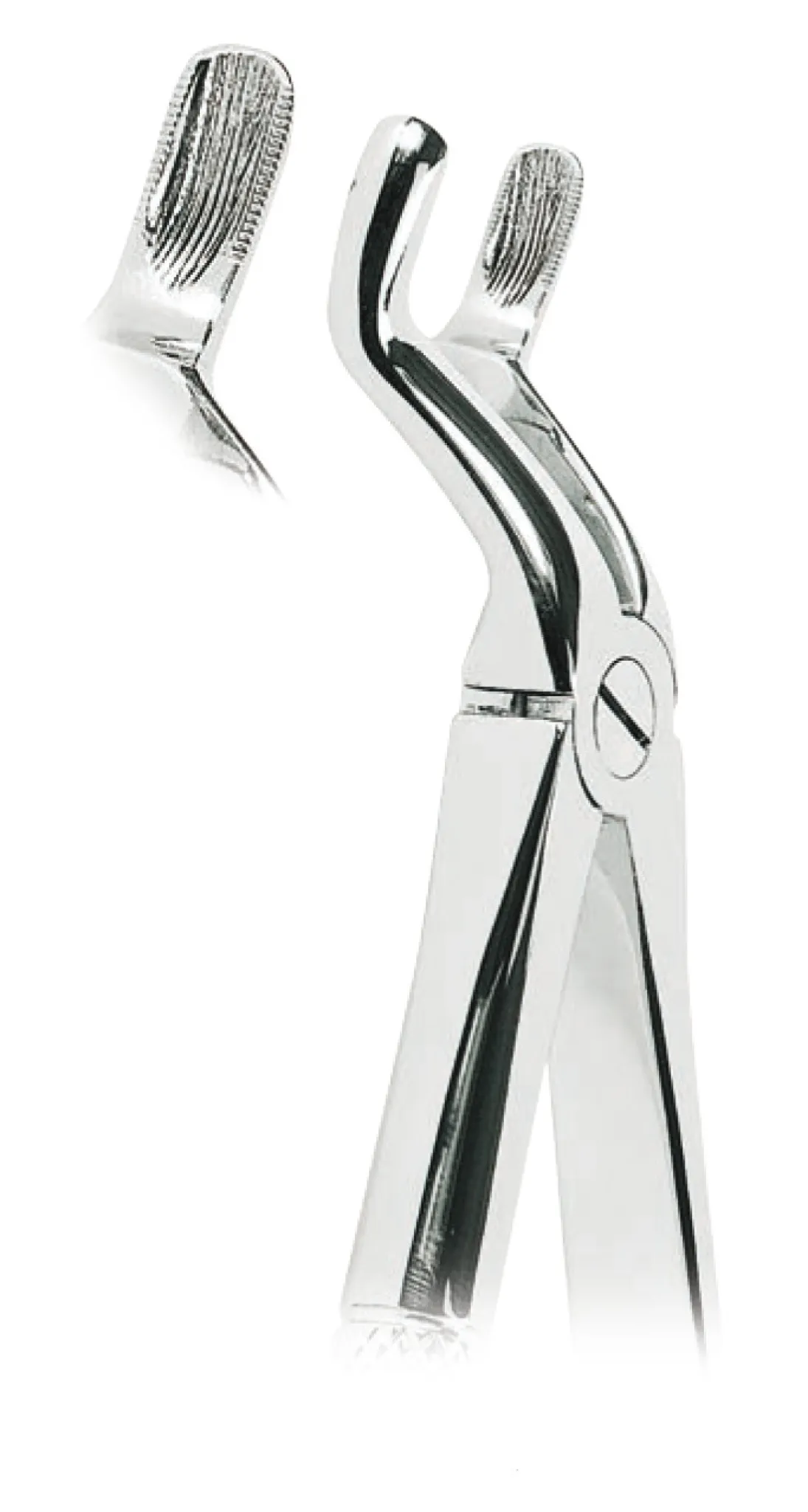 PINZA PER ESTRAZIONE Denti Dentale Pinza Elevatore Estrattore Punta Radice EUR 14,60 - IT - Foto 5