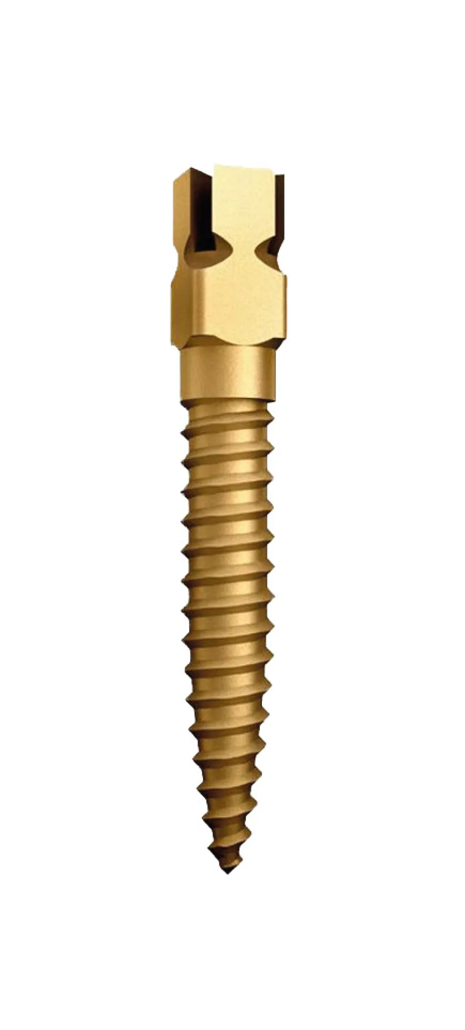 Kit Perni Endocanalari Vite Dentale Placcato - Sistema Alzante - 120 Pezzi